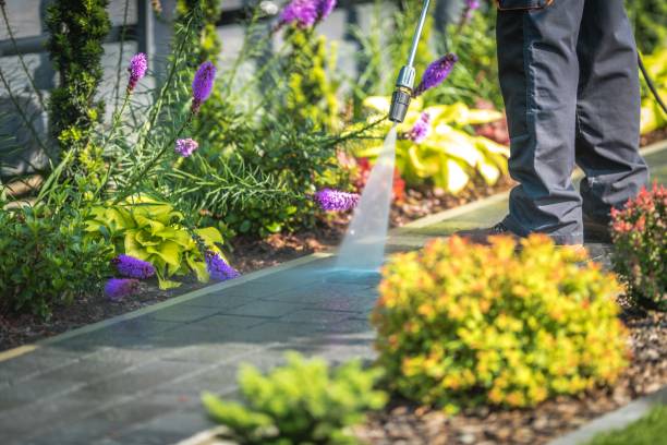 Best Animal Enclosure Cleaning  in West Carthage, NY