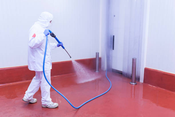 Pre-Holiday Cleaning in West Carthage, NY