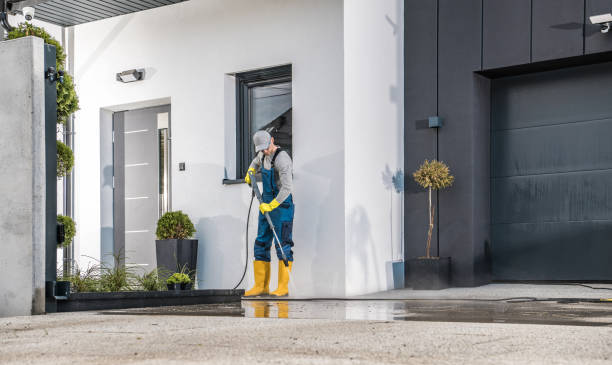 Best Driveway Pressure Washing  in West Carthage, NY